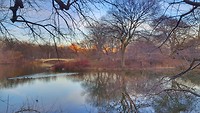 Central Park