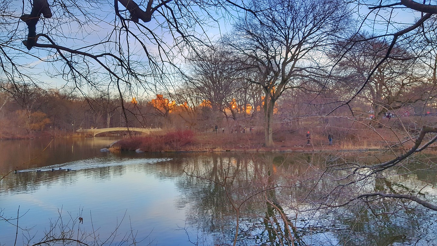 Central Park