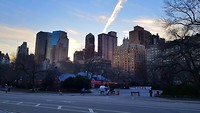 Central Park skyline