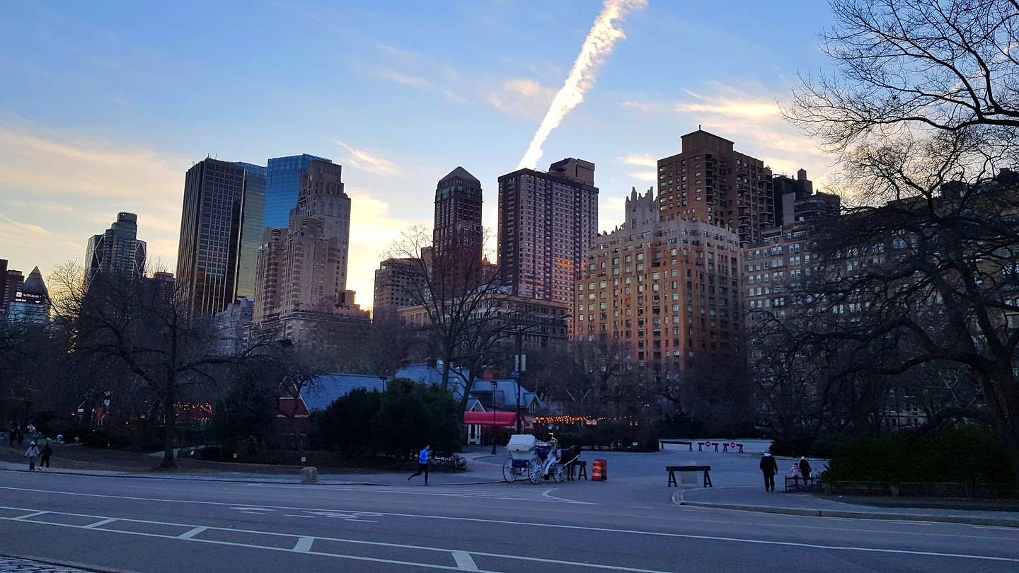Central Park skyline
