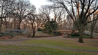 Central Park