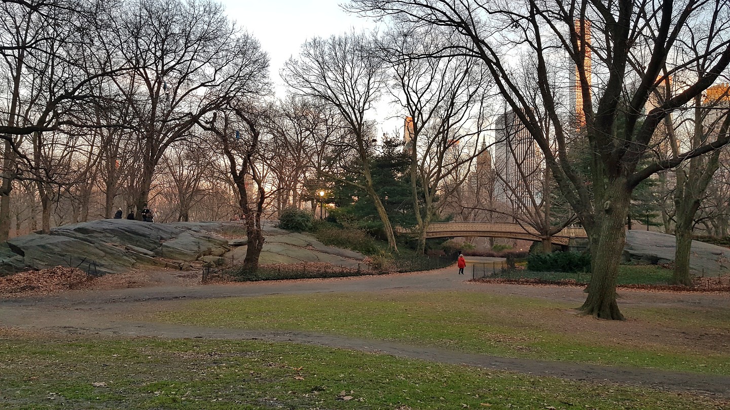 Central Park