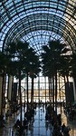 Winter Garden