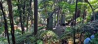 Monte paleis tuin