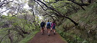Walking ladies
