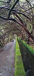 N tunnel van boomheide