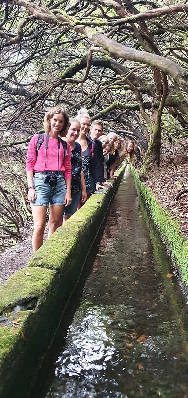 Groep