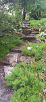 Botanische tuin 1