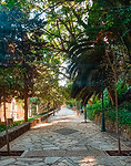 Het park