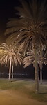 Beach by night