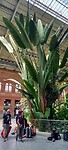 Klein plantje
