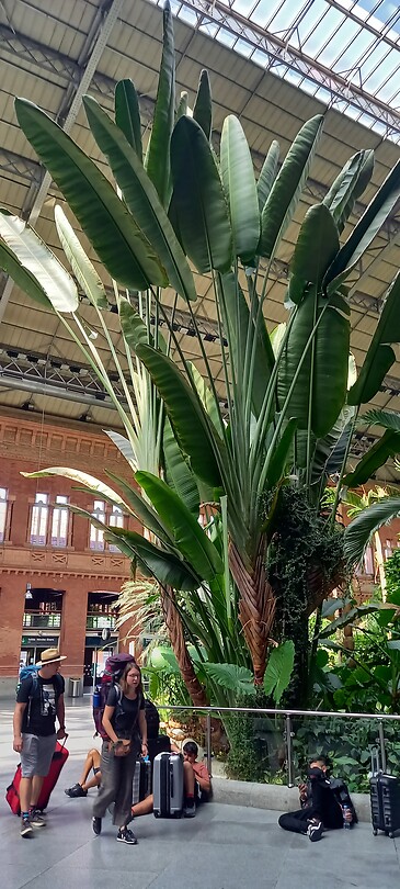 Klein plantje
