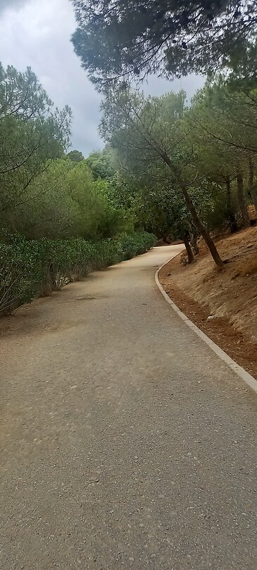 Wandelen boven park Guell