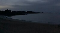Dolfijnen bij Port Blanc, Dinard