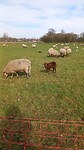 1000009377