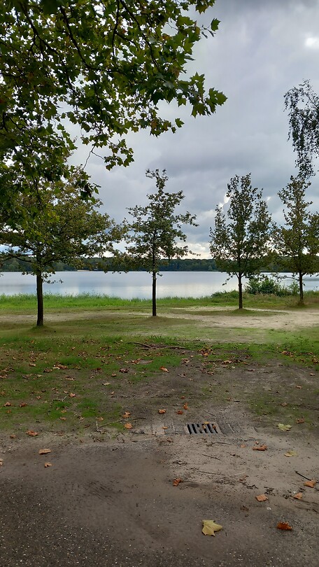 1000015686
