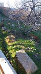 Kudde schapen en geiten in Sabiote, Spanje.