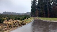 1000038752