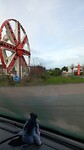 1000039334