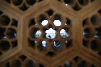IMG_7138