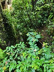 IMG20221008102845