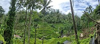 IMG_20221009_132002