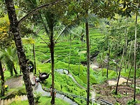IMG20221009094108