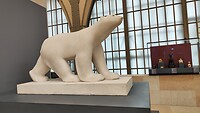 IMG20240612143253