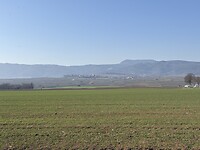 IMG_2852