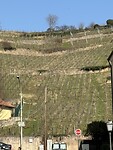 IMG_2849