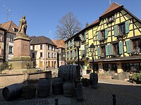 IMG_2846
