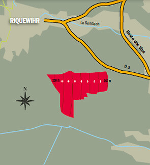 carte_sporen