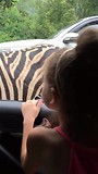 taman safari