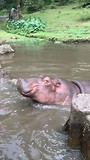 taman safari