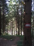 IMG_2496