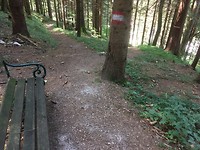 IMG_2497