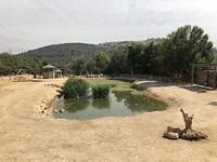Jerusalem Zoo