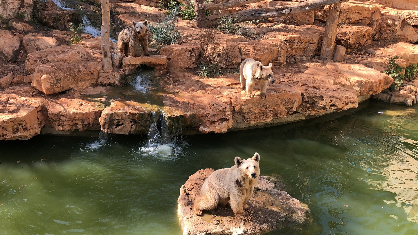 Jerusalem Zoo Foto Werken bij Aleh Jeruzalem