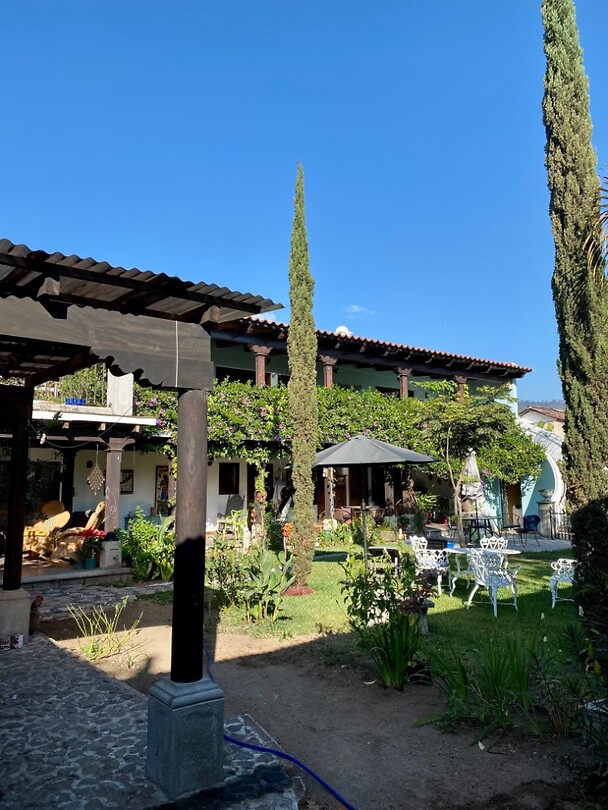 Onze binnentuin