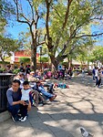 Parque Central