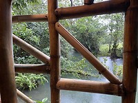 RIO Dulce .. daarom is het hier zo groen