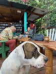 Verplicht relaxen