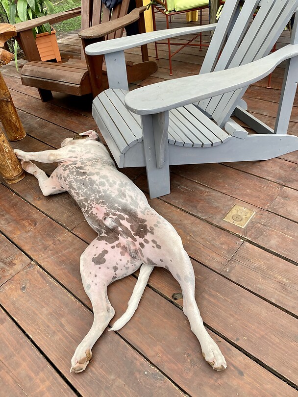 Relaxen…zo doe je dat