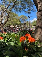 Zondag in het park
