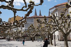 Burgos