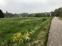 Vennbahn