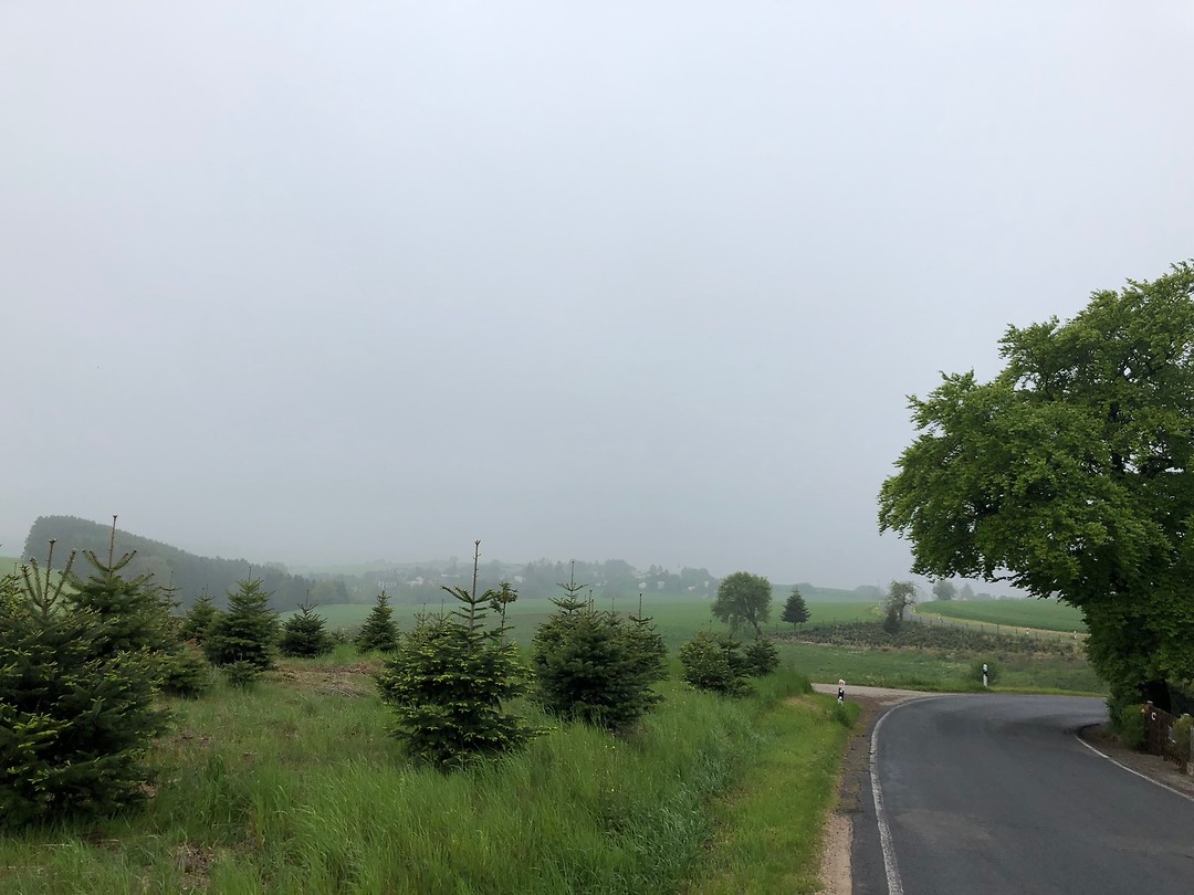 Mist en kou in de Eifel