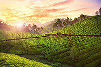 india-kerala