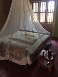Bed van Inge