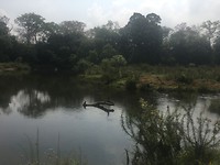 De rivier